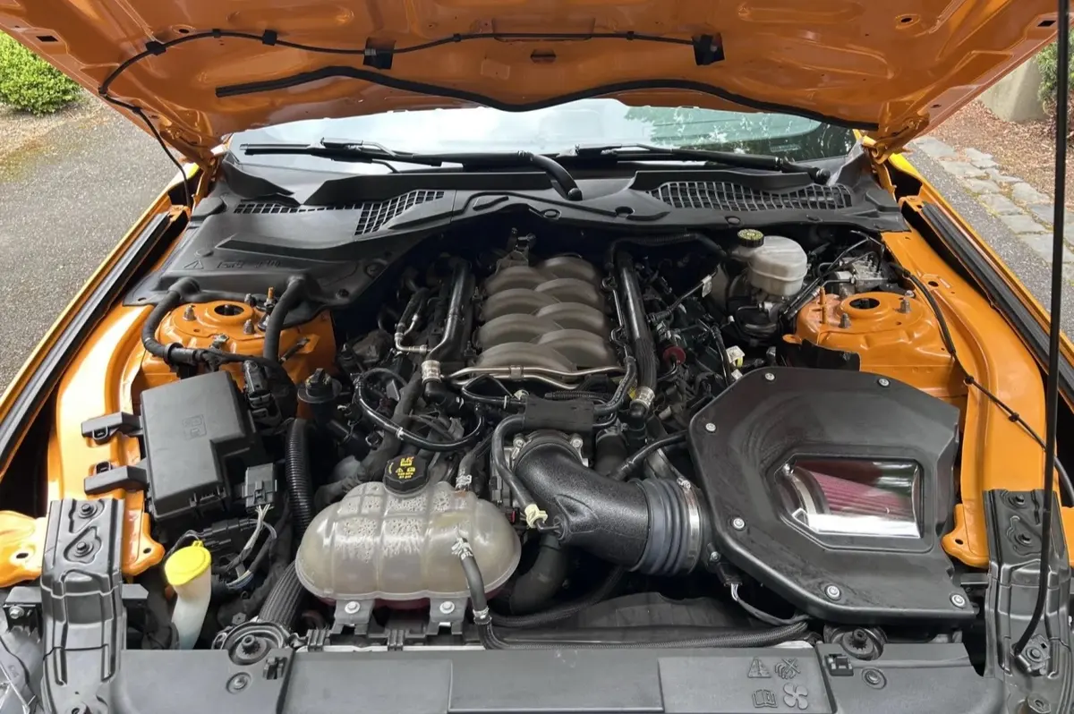 2019 Ford Mustang GT Coupe This — photo 6